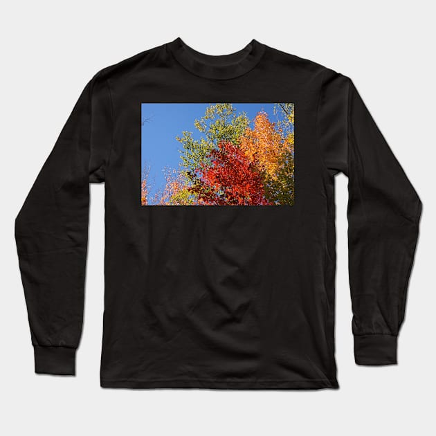 Foliage in Autumn Long Sleeve T-Shirt by sma1050